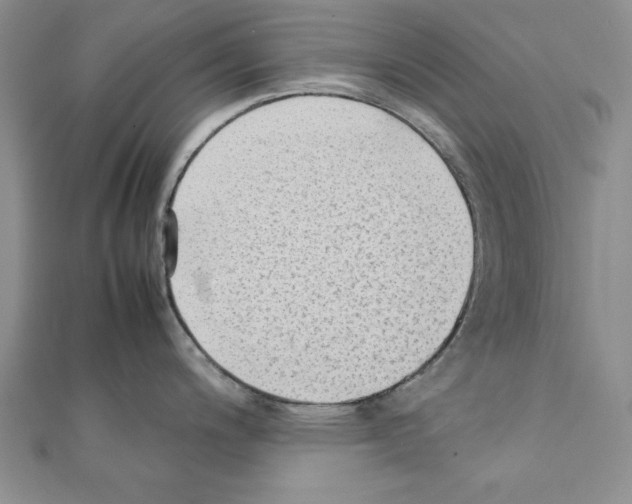 X0000111351200200908211227