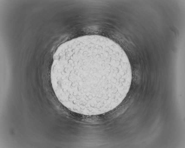 X0000111351201200908211227