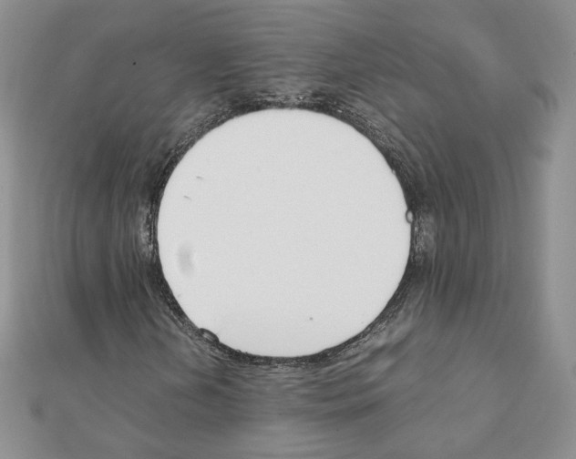 X0000111351202200908211227