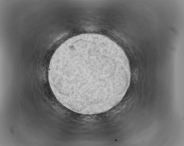 X0000111351205200908211227