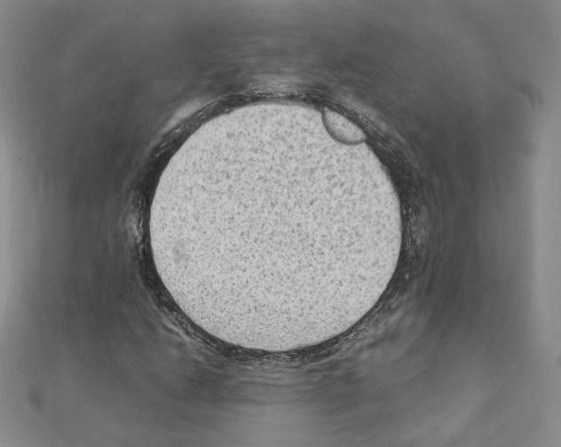 X0000111351206200908211227
