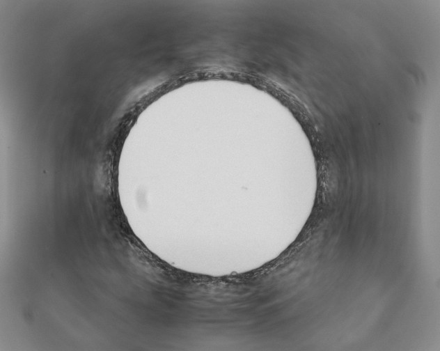 X0000111351207200908211227
