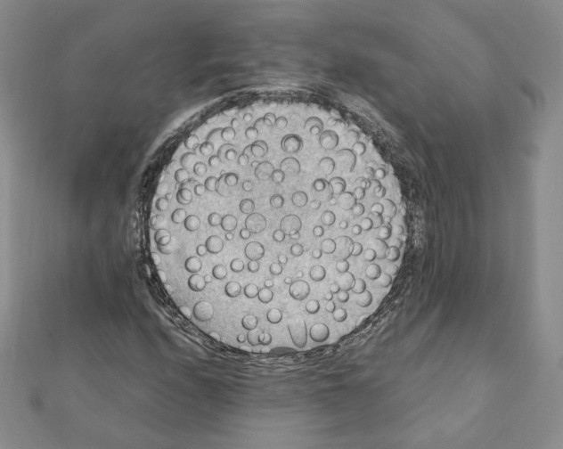 X0000111351208200908211227