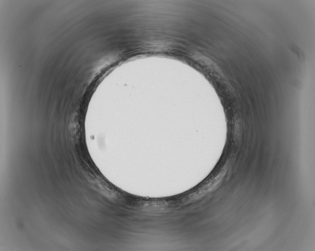 X0000111351210200908211227