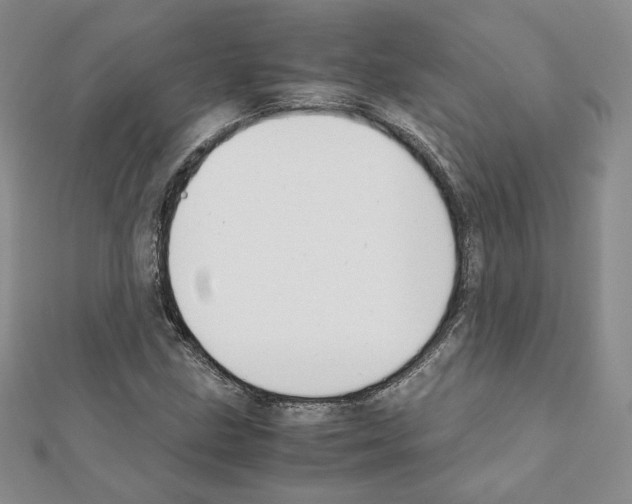 X0000111351211200908211227