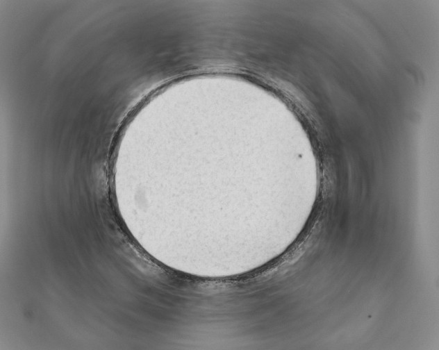X0000111351212200908211227