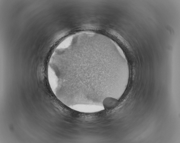 X0000111351213200908211227