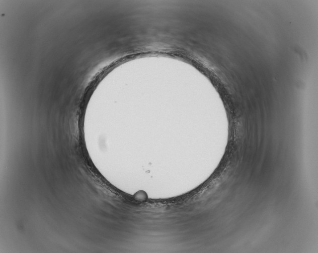 X0000111351214200908211227