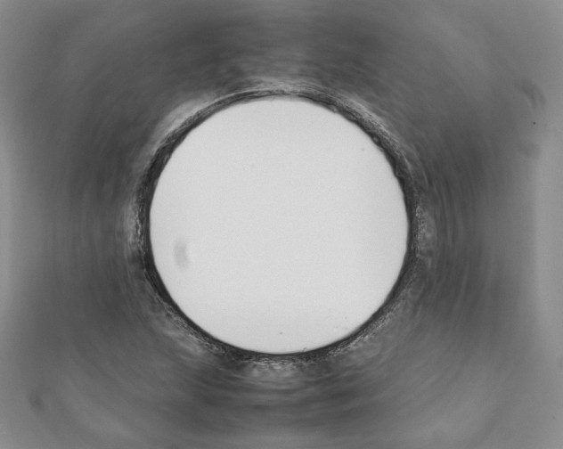 X0000111351215200908211227