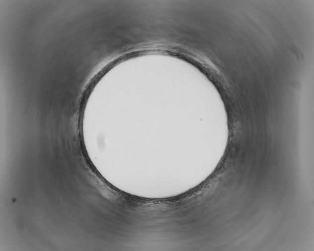 X0000111351216200908211227