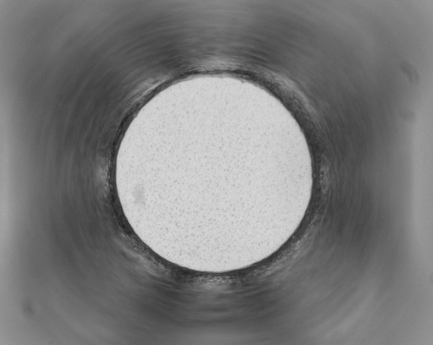 X0000111351217200908211227