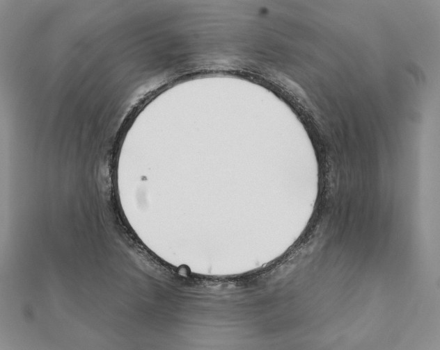 X0000111351218200908211227