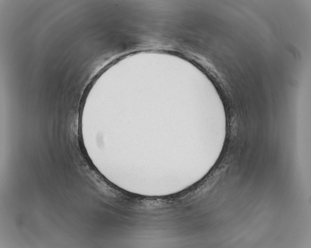 X0000111351220200908211227