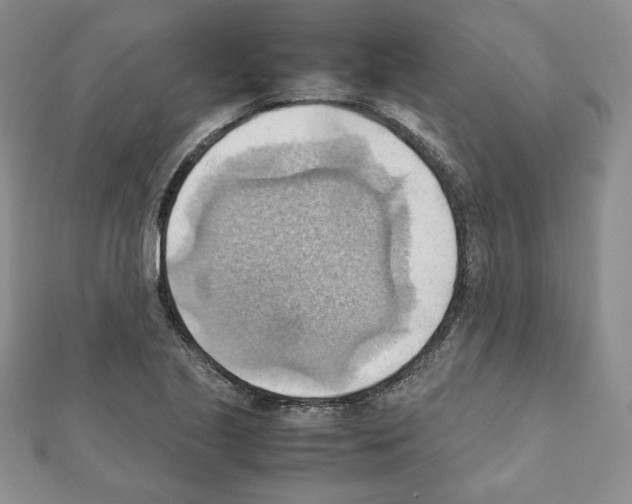 X0000111351221200908211227