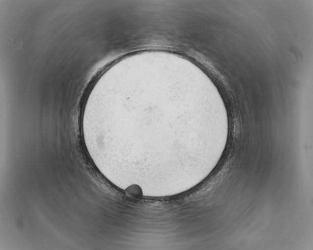 X0000111351222200908211227