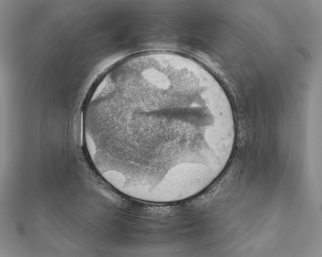 X0000111351223200908211227