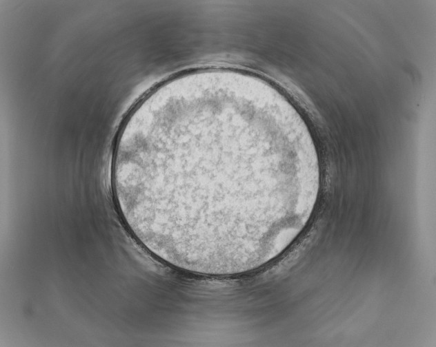 X0000111351224200908211227