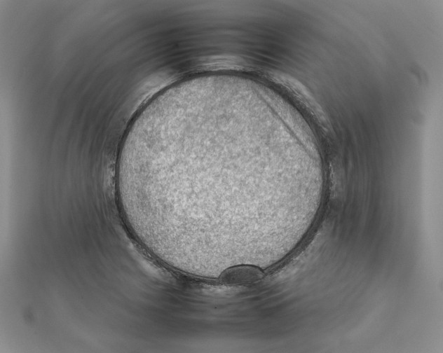 X0000111351225200908211227