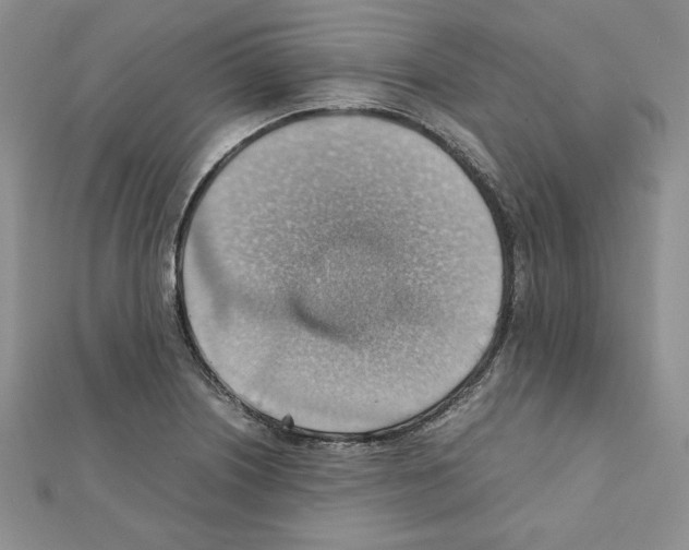 X0000111351226200908211227