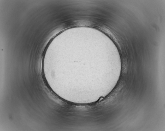 X0000111351227200908211227