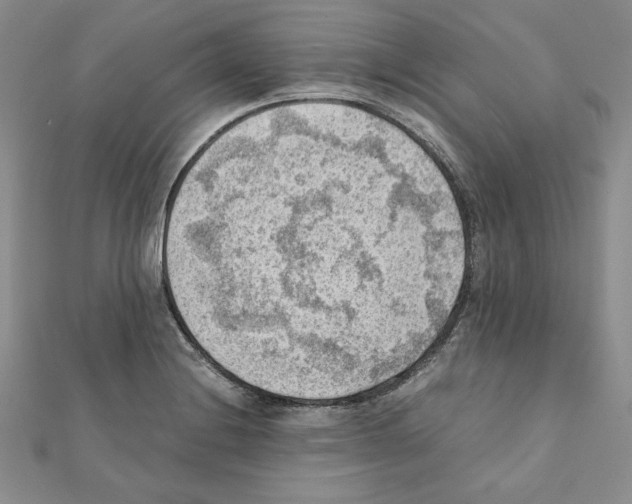 X0000111351228200908211227