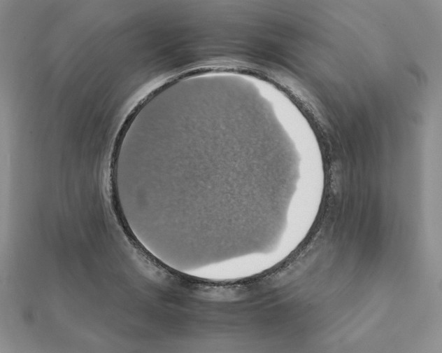 X0000111351229200908211227