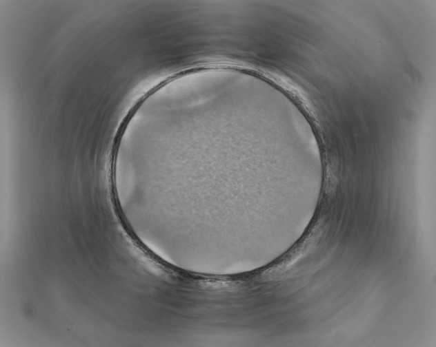 X0000111351231200908211227