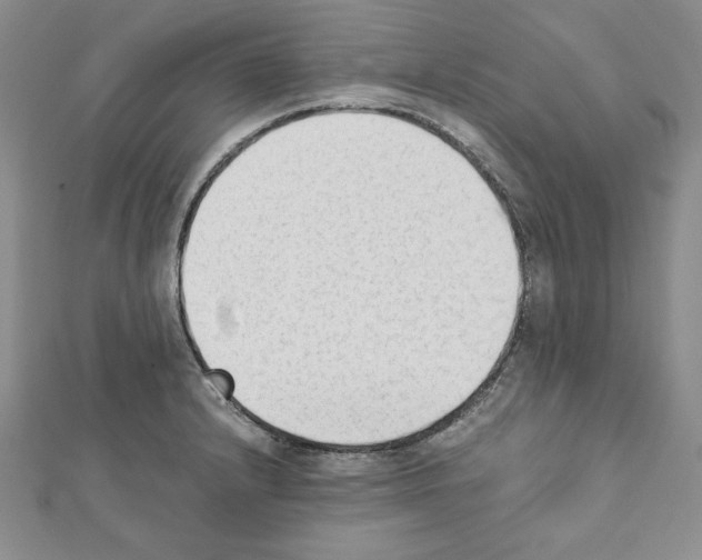 X0000111351232200908211227