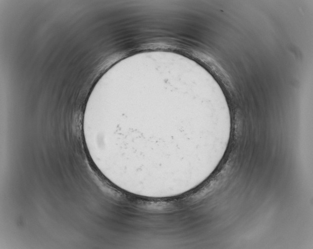 X0000111351233200908211227