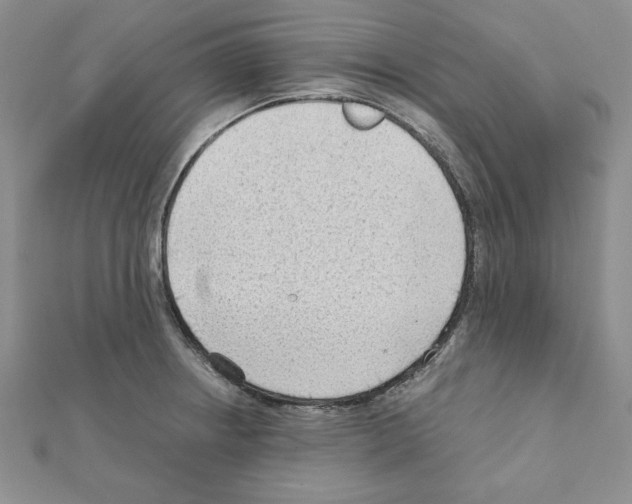 X0000111351234200908211227