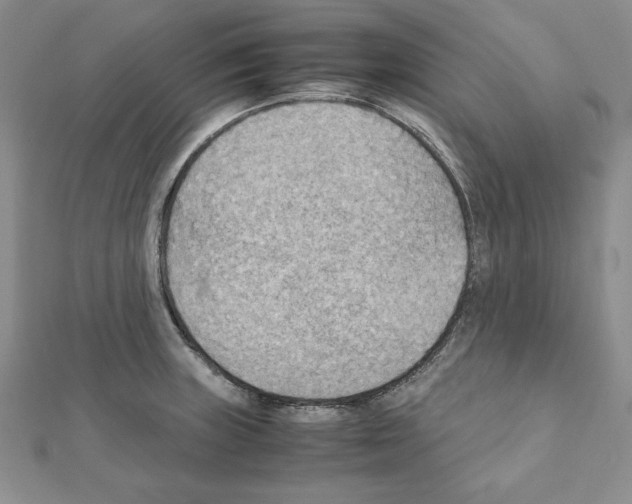 X0000111351235200908211227
