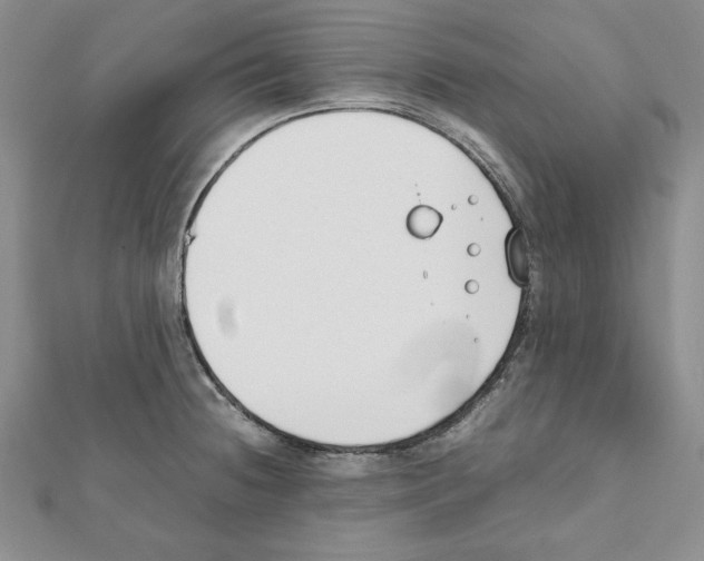 X0000111351236200908211227