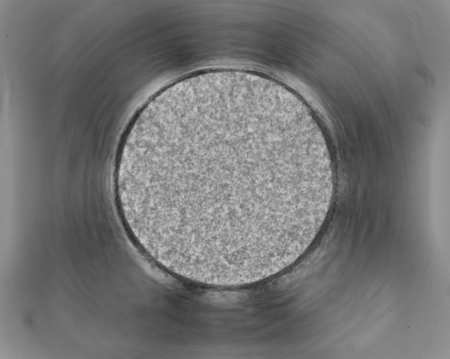 X0000111351237200908211227