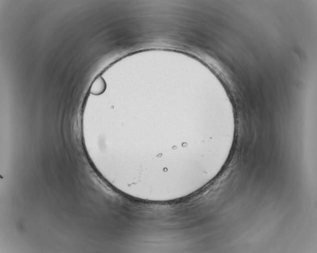 X0000111351238200908211227