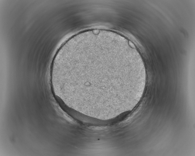 X0000111351240200908211227