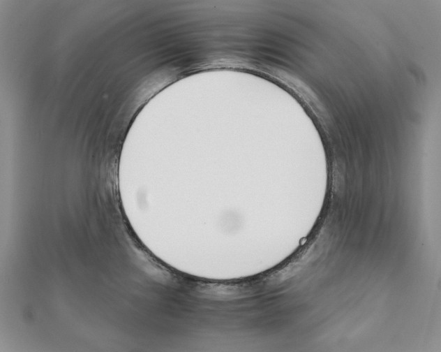 X0000111351241200908211227