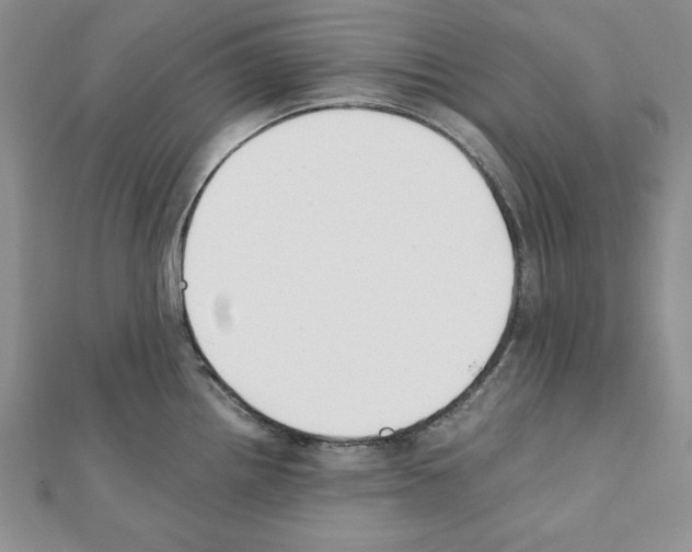 X0000111351242200908211227