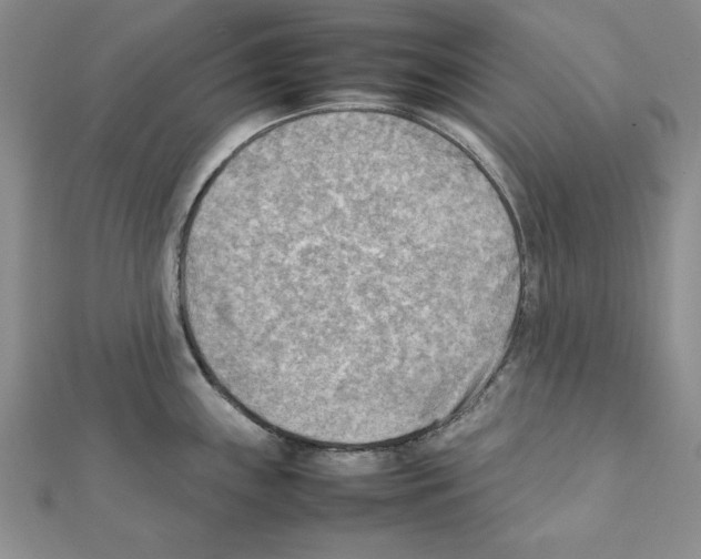 X0000111351243200908211227