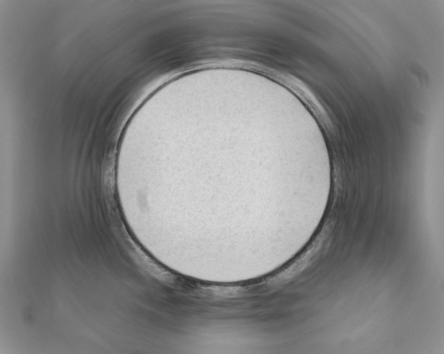 X0000111351244200908211227