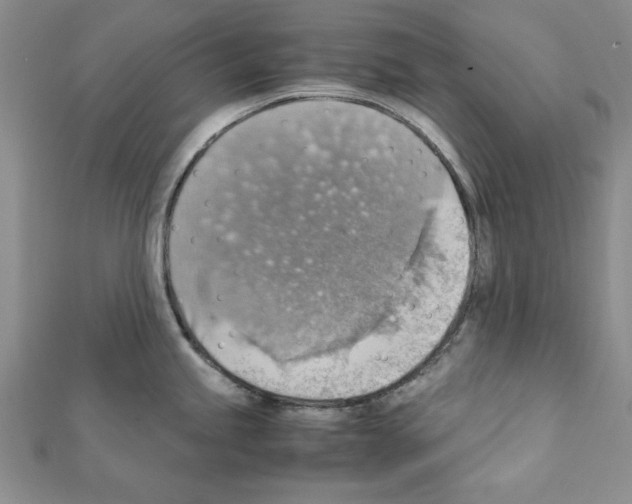 X0000111351245200908211227