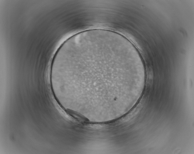 X0000111351246200908211227