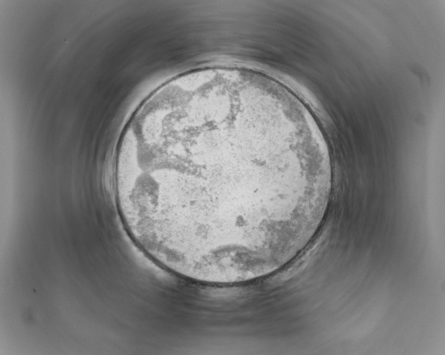 X0000111351247200908211227
