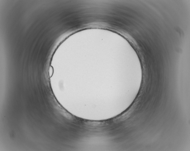 X0000111351248200908211227