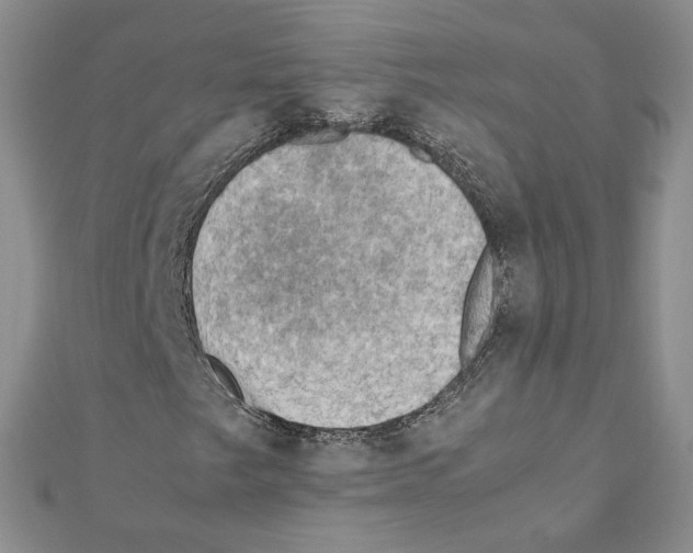 X0000111351249200908211227