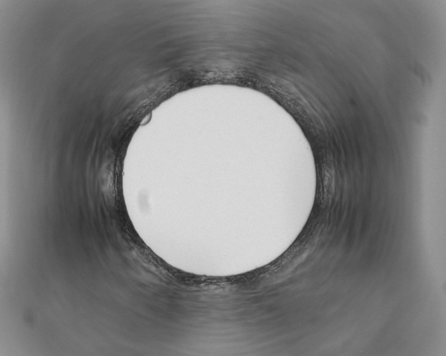 X0000111351250200908211227