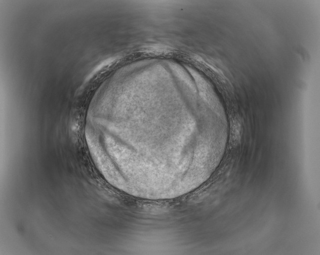 X0000111351254200908211227