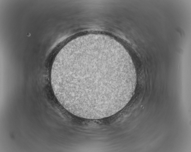 X0000111351255200908211227