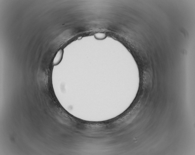 X0000111351257200908211227