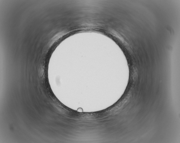 X0000111351259200908211227