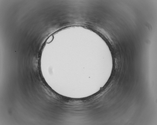 X0000111351260200908211227